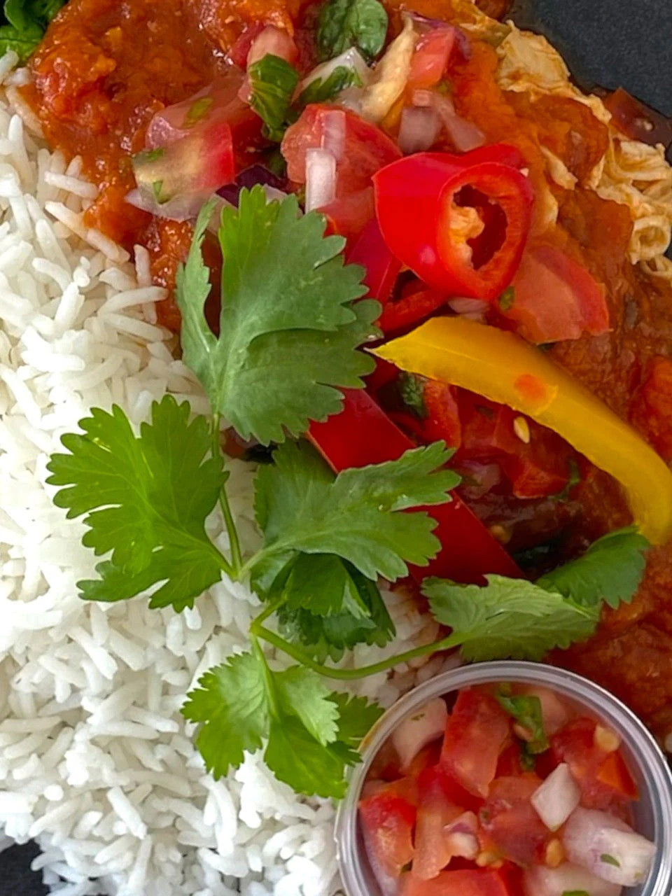 FROZEN:Mexican Shredded Chicken with Rice - Image 2